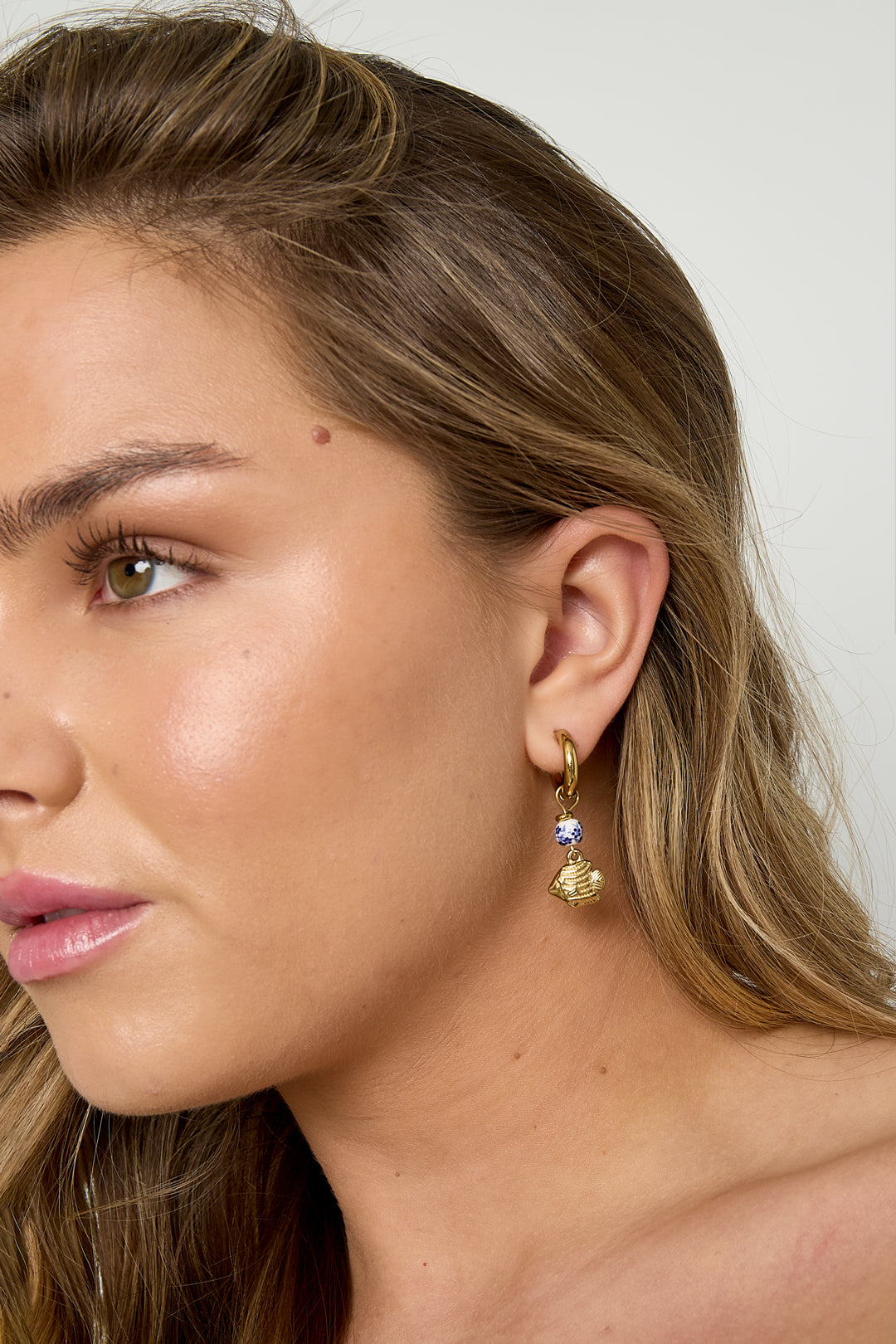 Stainless Steel Dangle Earrings fish Casual Daily Simple Series Women's jewelry